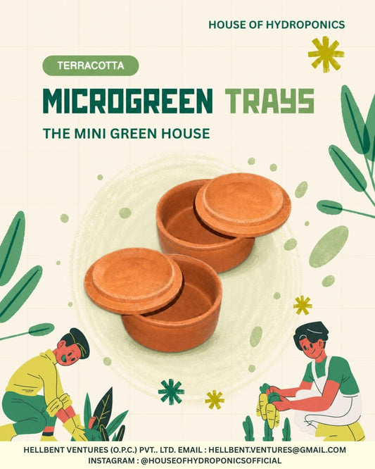 Terracotta Microgreens Tray Set of 2 | Shallow Growing Trays for Microgreens, Seed Germination, Wheatgrass & Indoor Gardening