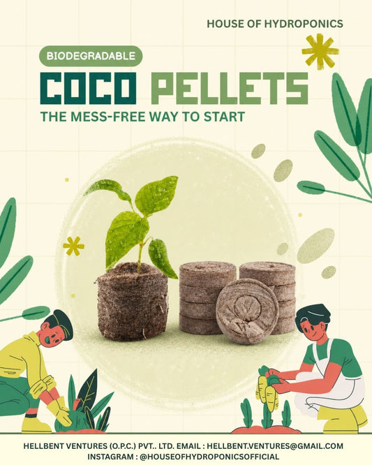 Cocopeat Netted Pellets for Seed Germination & Hydroponics (Pack of 20) | Expandable Coco Coir Grow Pellets 30mm x 10mm for Seedlings, Plants & Indoor Gardening